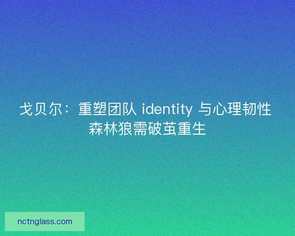 戈贝尔：重塑团队 identity 与心理韧性 森林狼需破茧重生