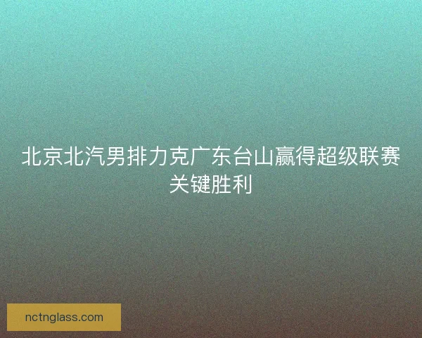 北京北汽男排力克广东台山赢得超级联赛关键胜利