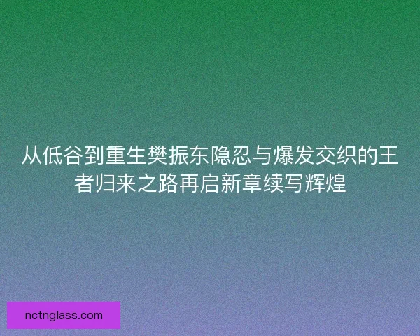 从低谷到重生樊振东隐忍与爆发交织的王者归来之路再启新章续写辉煌
