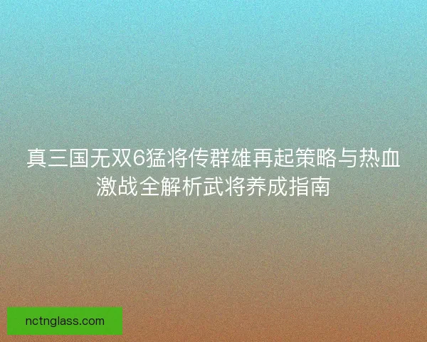 真三国无双6猛将传群雄再起策略与热血激战全解析武将养成指南