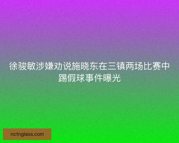 徐骏敏涉嫌劝说施晓东在三镇两场比赛中踢假球事件曝光
