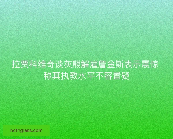 拉贾科维奇谈灰熊解雇詹金斯表示震惊 称其执教水平不容置疑